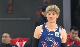 王哲林爆料视频最新,篮球生涯背后的心路历程与励志故事